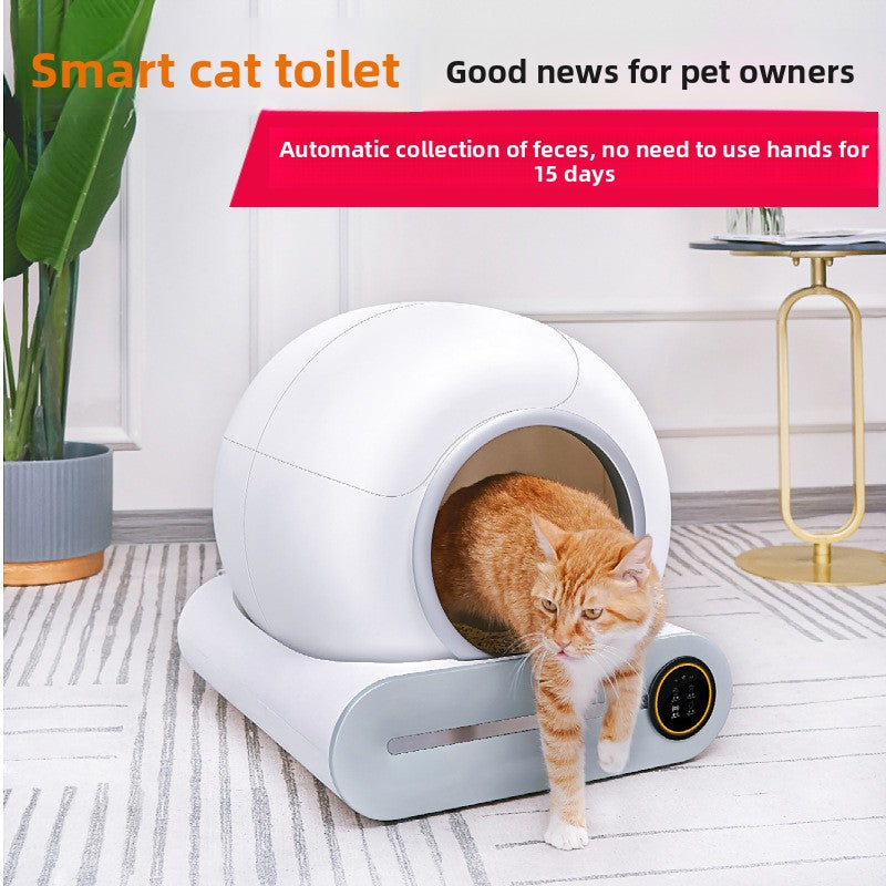 Intelligent cat litter