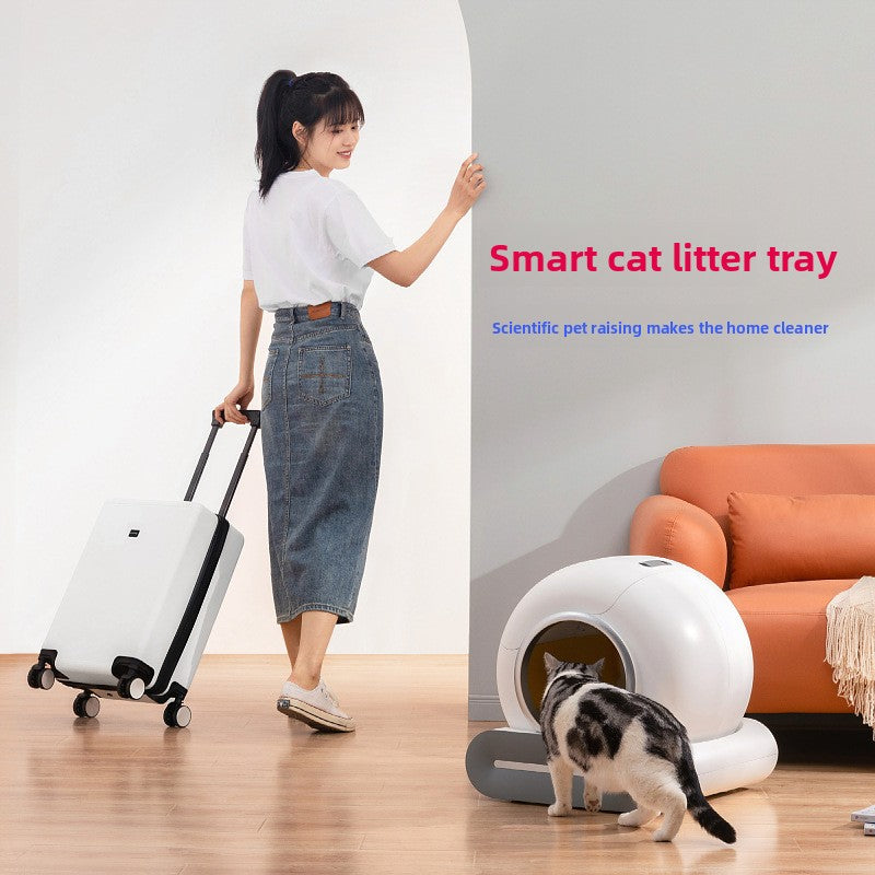 Intelligent cat litter